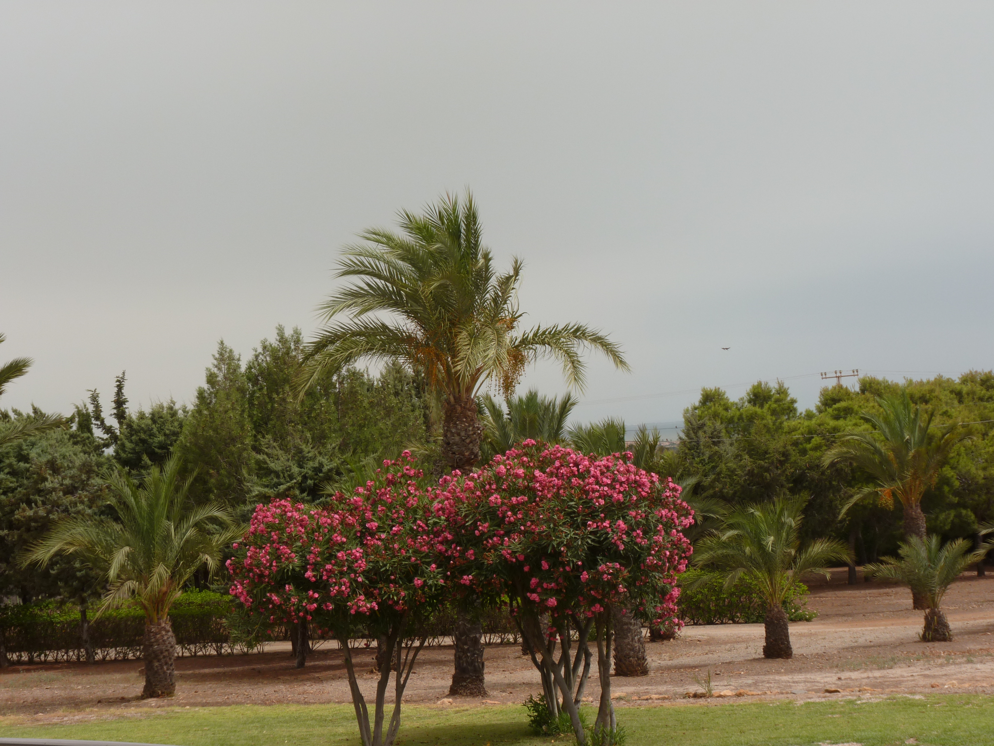 No s'ha trobat l'arxiu